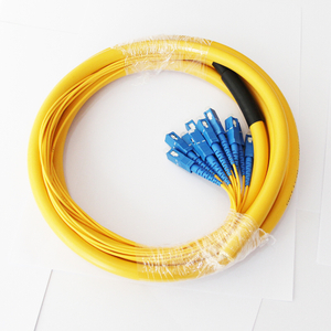 Fiber Optic Jumper Cable 12X-SC(UPC)