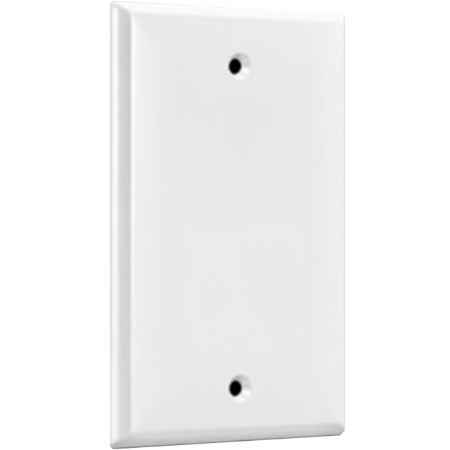 Blank Wall Plate